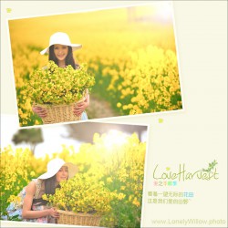 loveharvest04