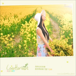 loveharvest05