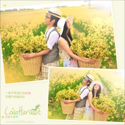 loveharvest08
