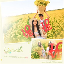 loveharvest11