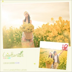 loveharvest14