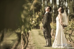 20111119jameselena_choice0014