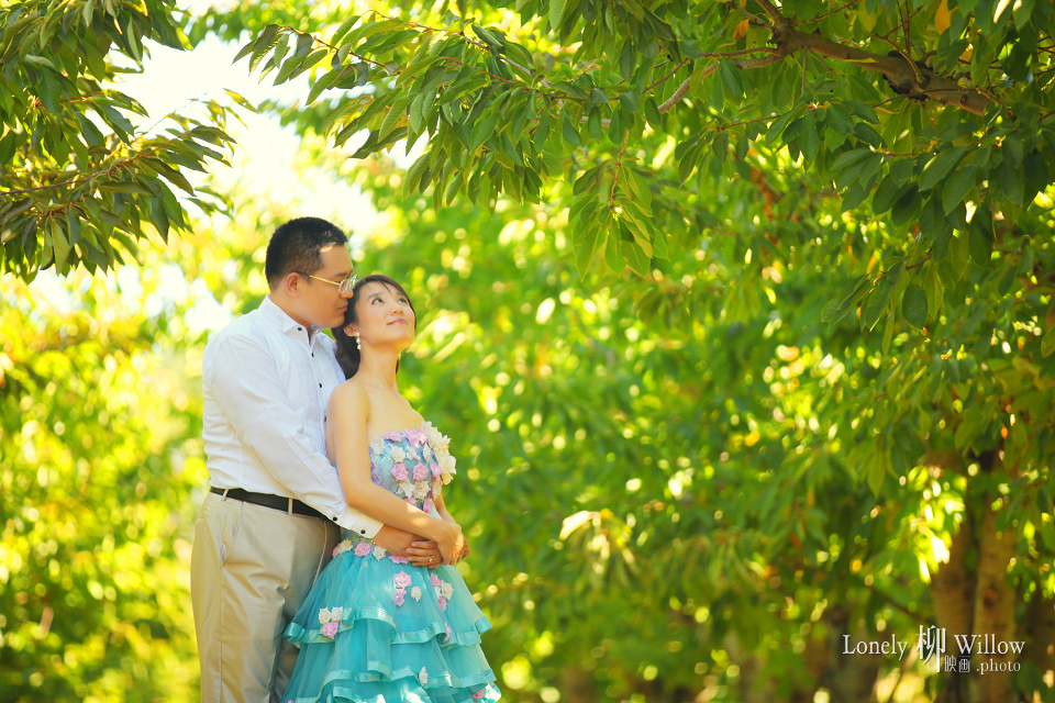 20130222lynn_cherryyard014