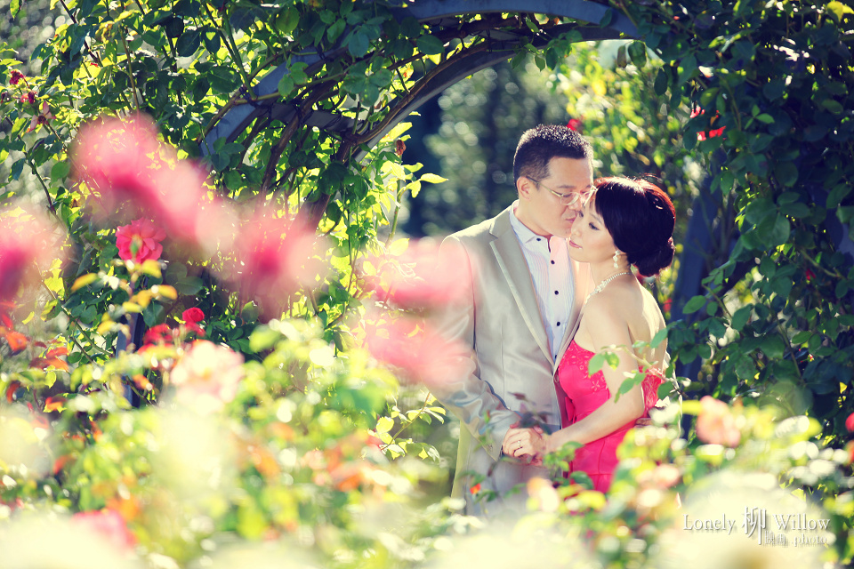 20130222lynn_roses047