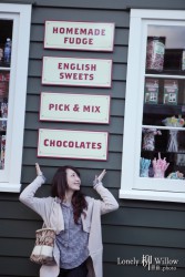 20140314coco_arrowtownchoice0012