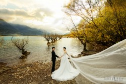 20160427qyer_tree0028