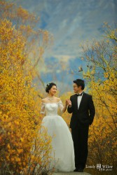 20160427qyer_yellowwalk0013