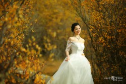 20160427qyer_yellowwalk0032