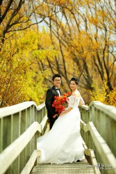 20160427qyer_yellowwalk0078