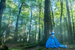 20160707tifanny_trees0070