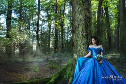 20160707tifanny_trees0076