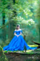 20160707tifanny_trees0108