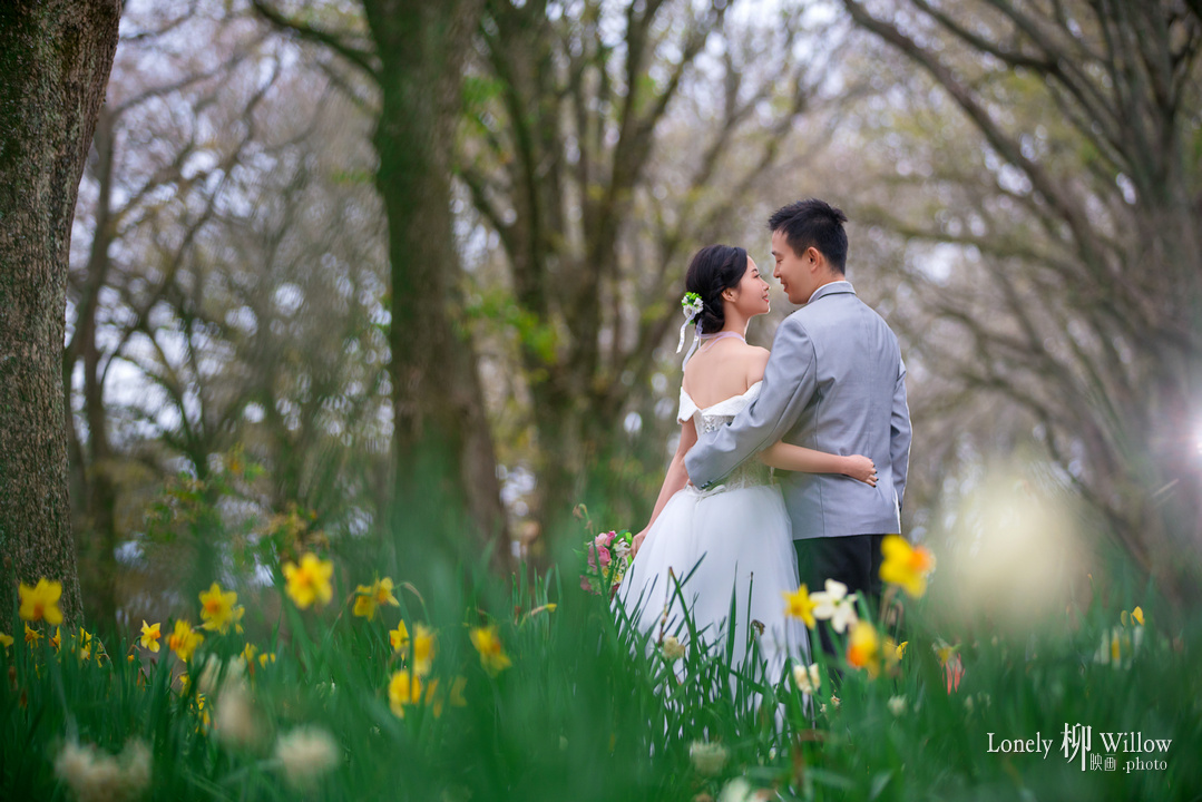 20160916nanxiaonan_flowers0051