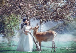 20161009jenny_deer0040