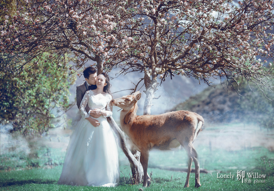 童话的教堂与鹿