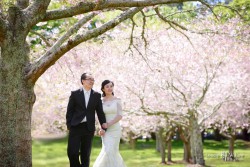 20161022phyllis_sakura0008_1