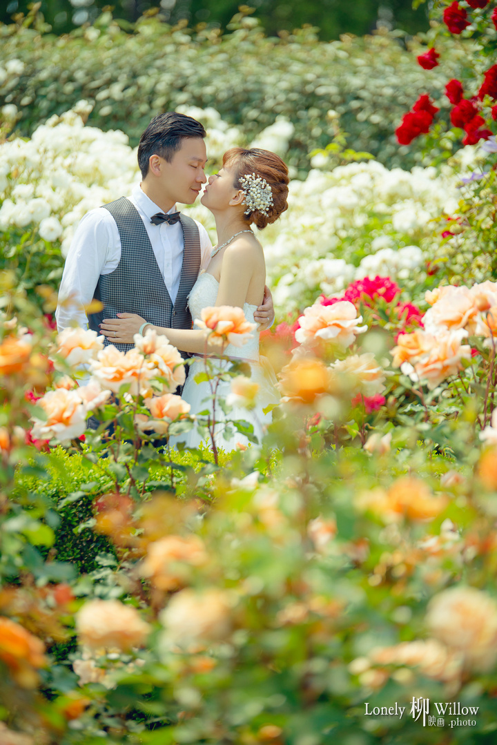 20161201ccmao_roses0102