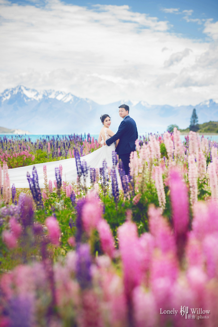 20161209crdm_lupins0038