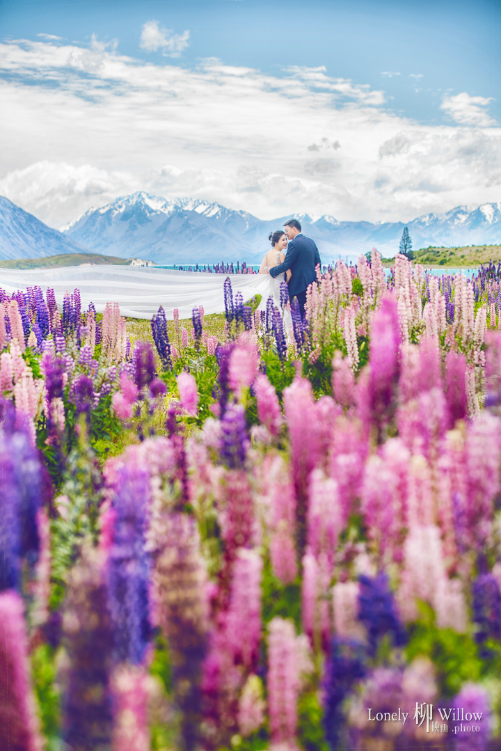20161209crdm_lupins0045