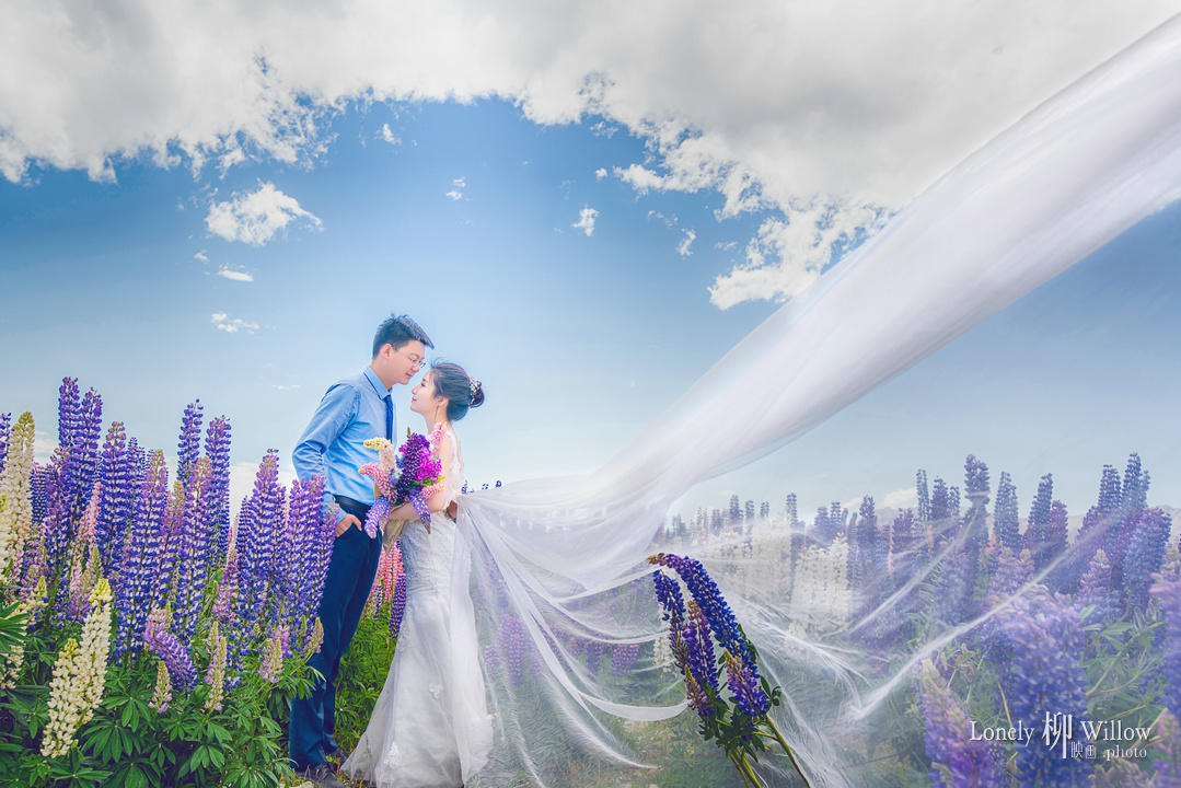 20161209crdm_lupins0115