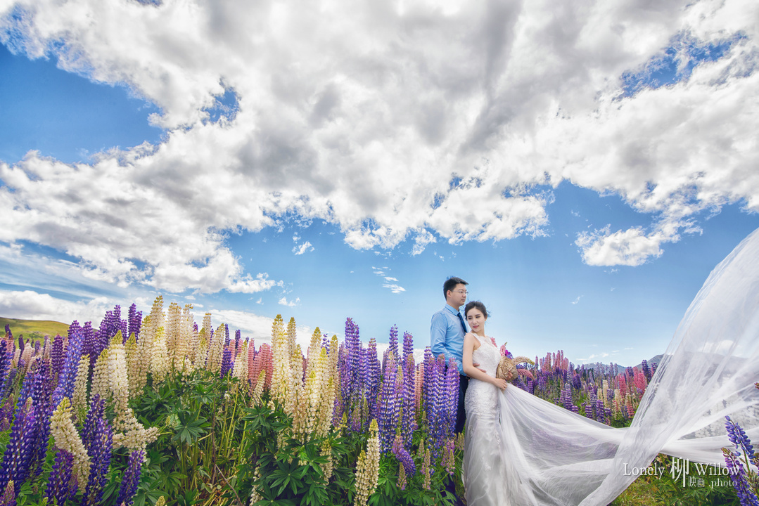 20161209crdm_lupins0124