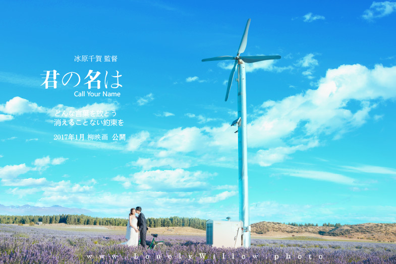 20170127liuliu_pchoice-1