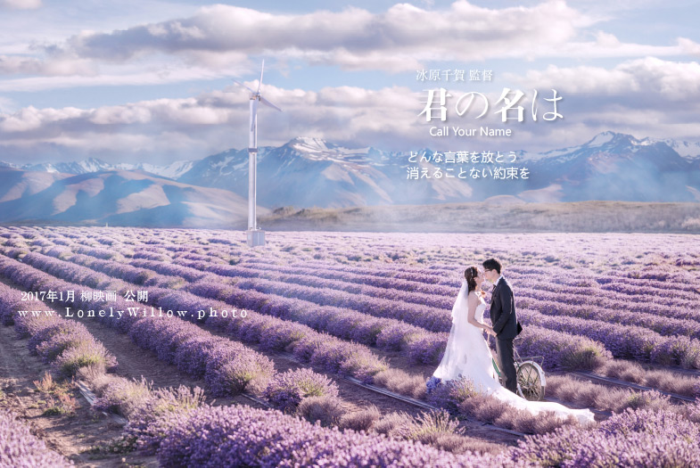 20170127liuliu_pchoice-3