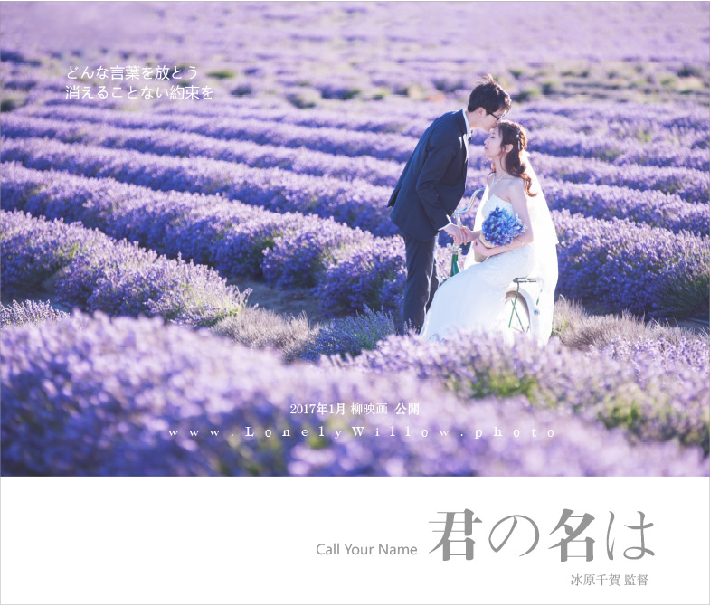 20170127liuliu_pchoice-4