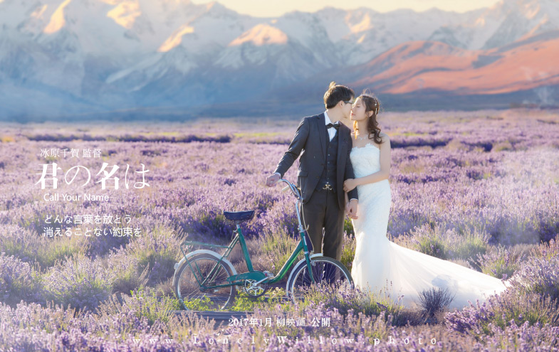 20170127liuliu_pchoice-5