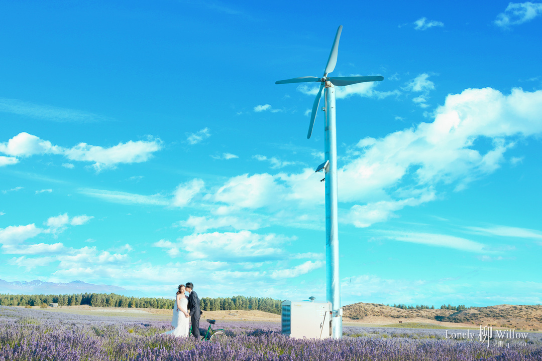 20170127liulu_lavendar0042