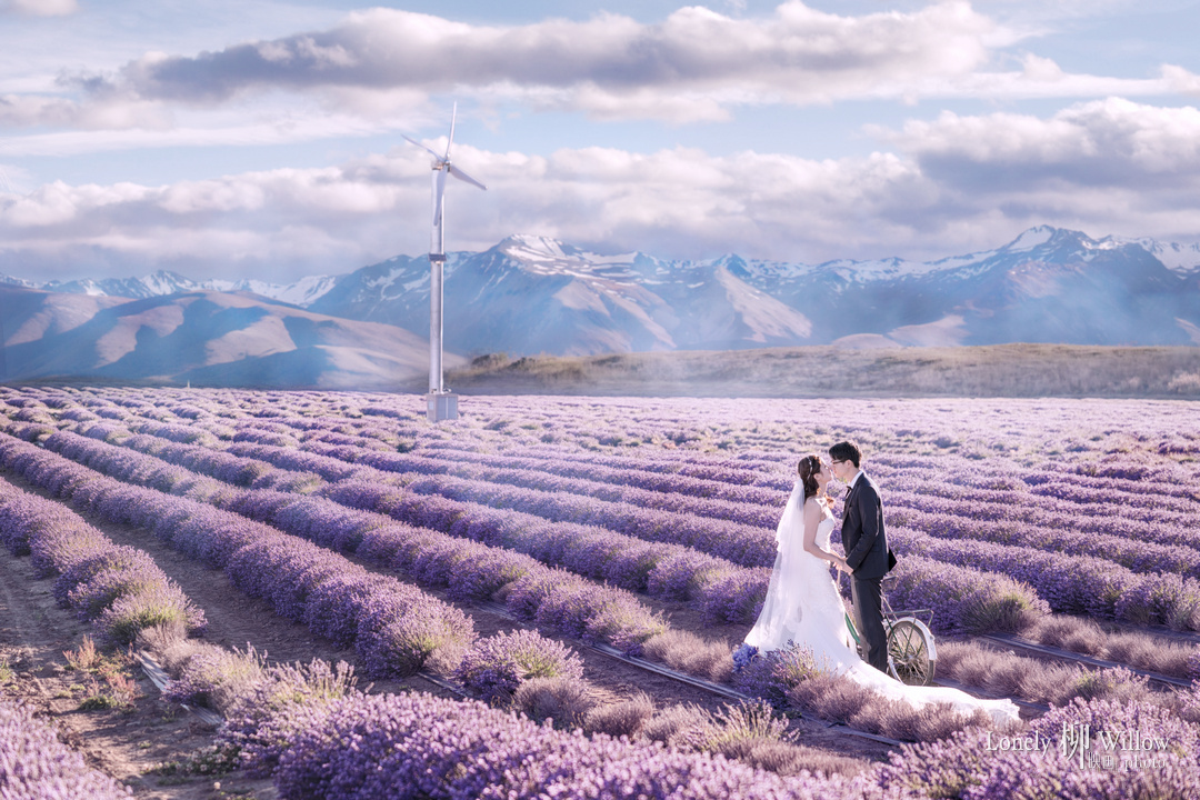 20170127liulu_lavendar0094