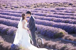 20170127liulu_lavendar0119