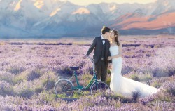 20170127liulu_lavendar0131