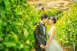 20170204lishuyi_vineyard0020