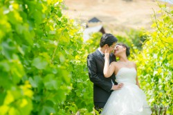 20170204lishuyi_vineyard0024