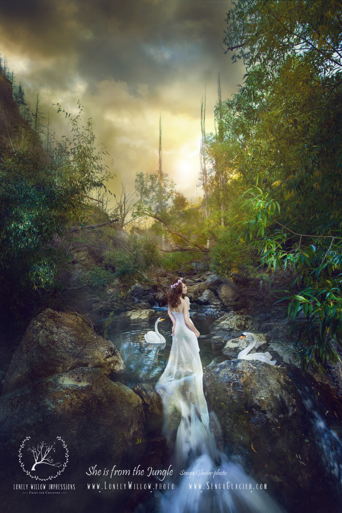 20170317cocoforest_webdesign-5