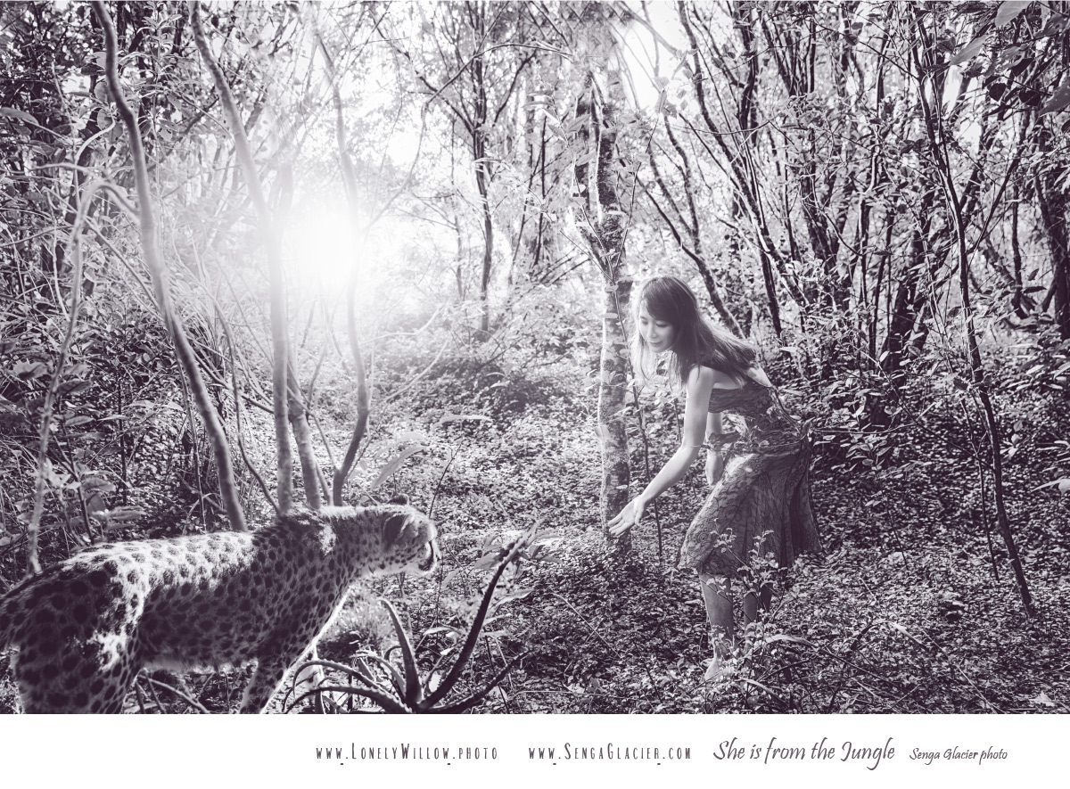 20170317cocoforest_webdesign-8