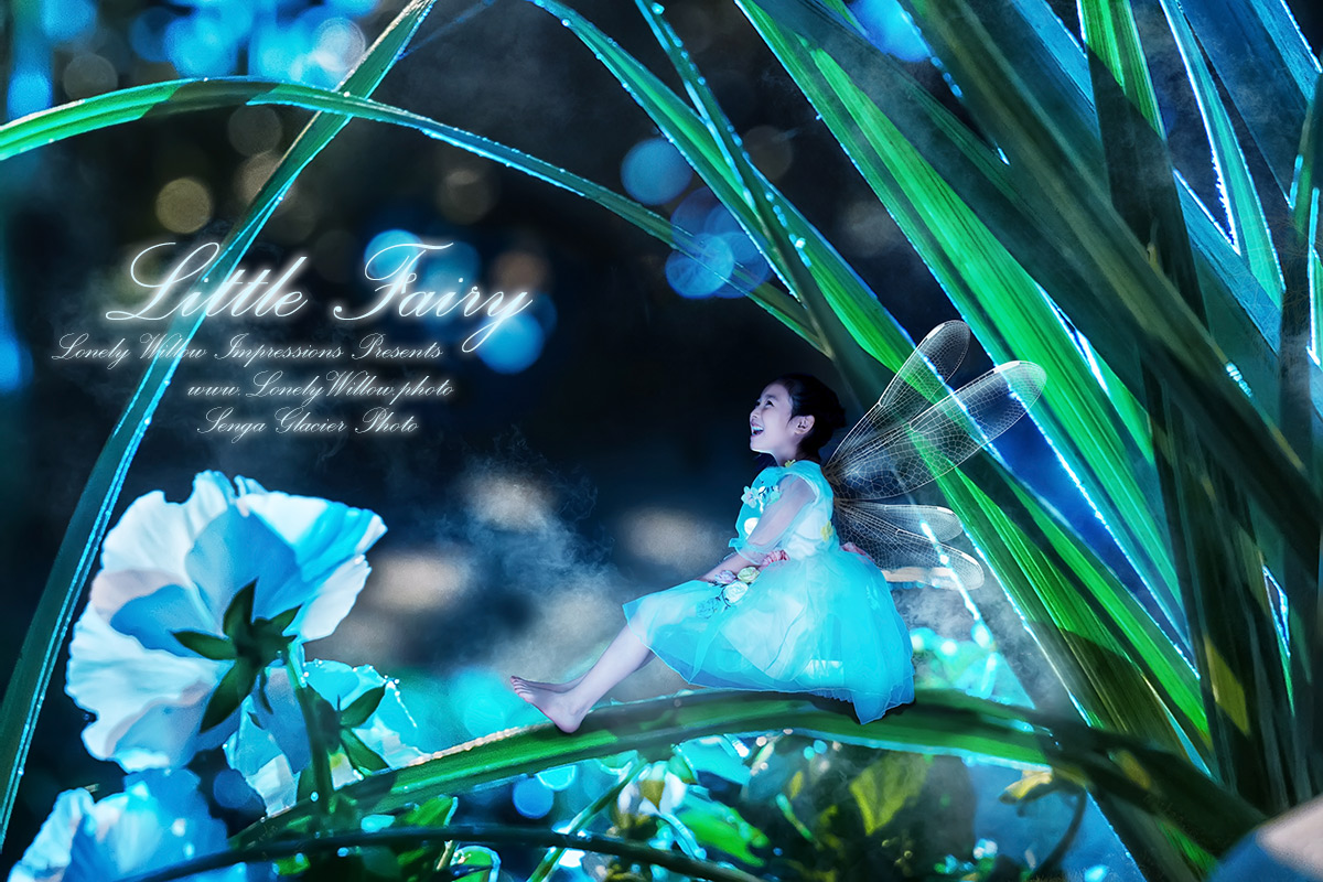 20170617jobaby-0073design