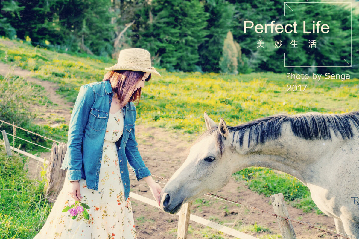 20171117coco-choiceweb0005