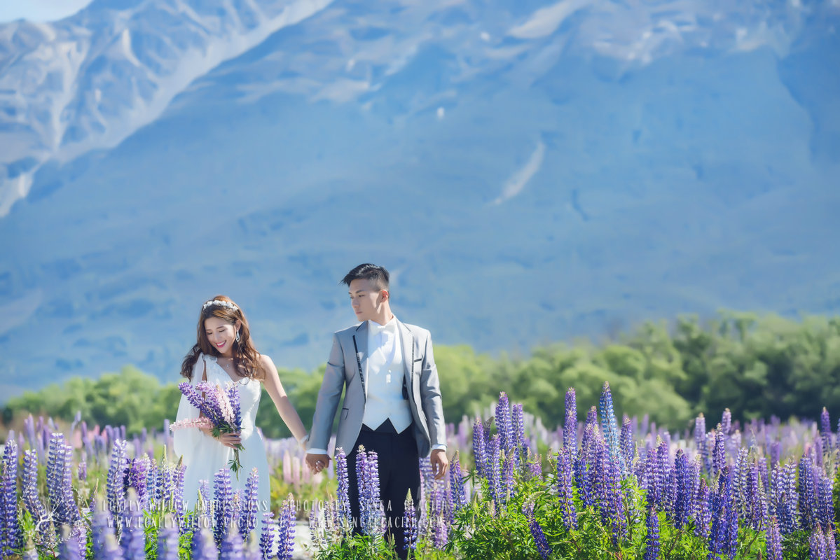 20171122jm-lupins0031