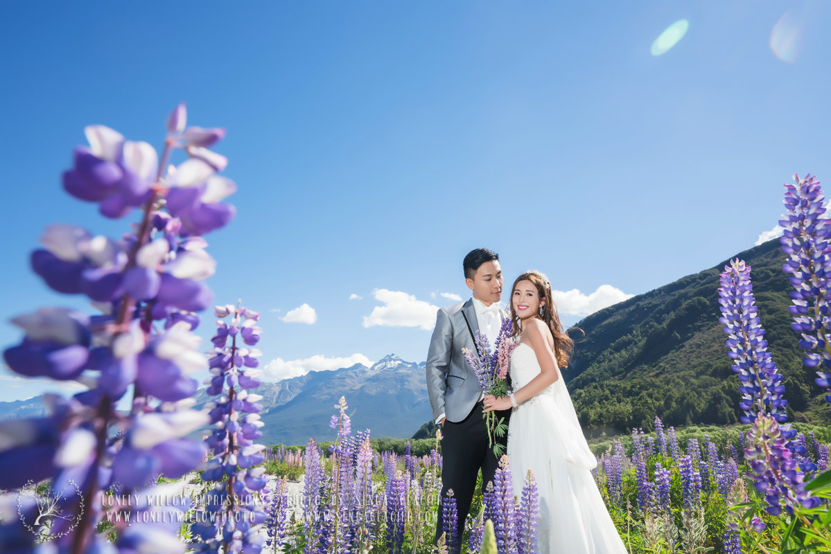 20171122jm-lupins0094