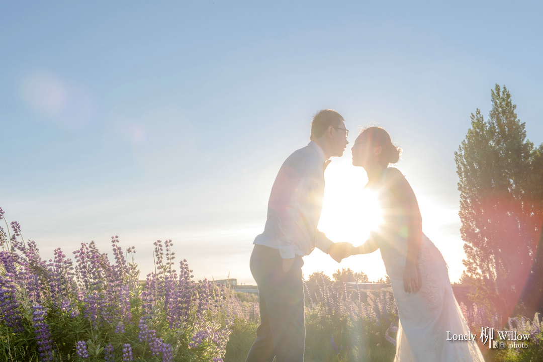 20171202kevcui_lupins0161