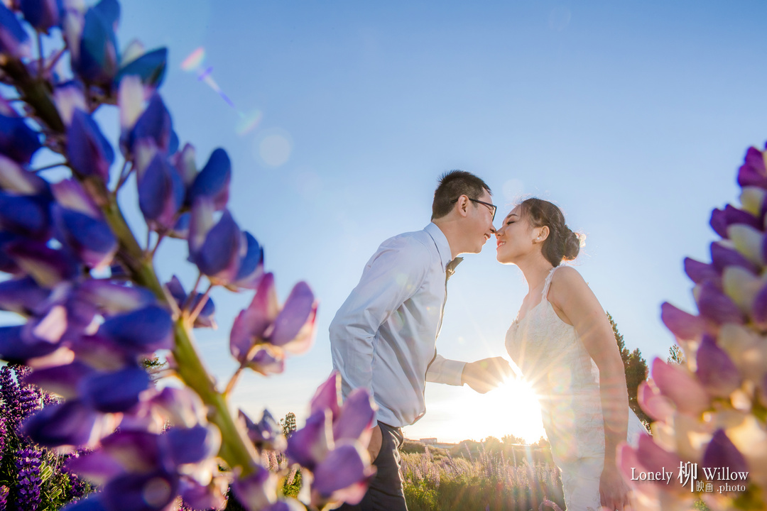 20171202kevcui_lupins0166