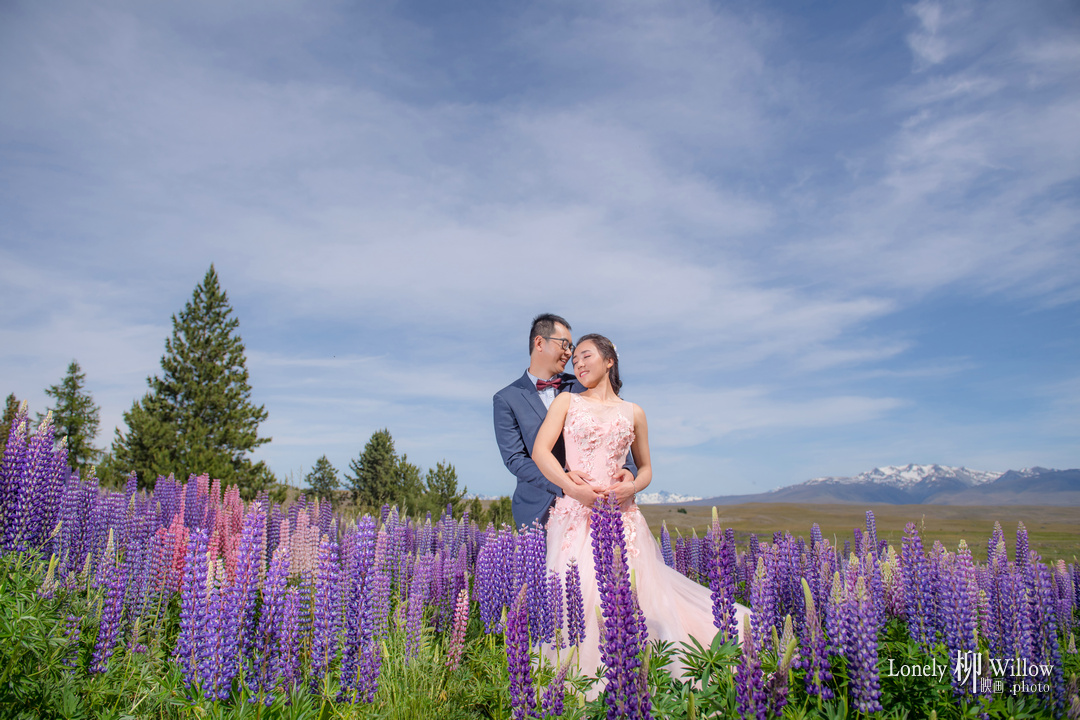 20171203kevcui_lupins0152