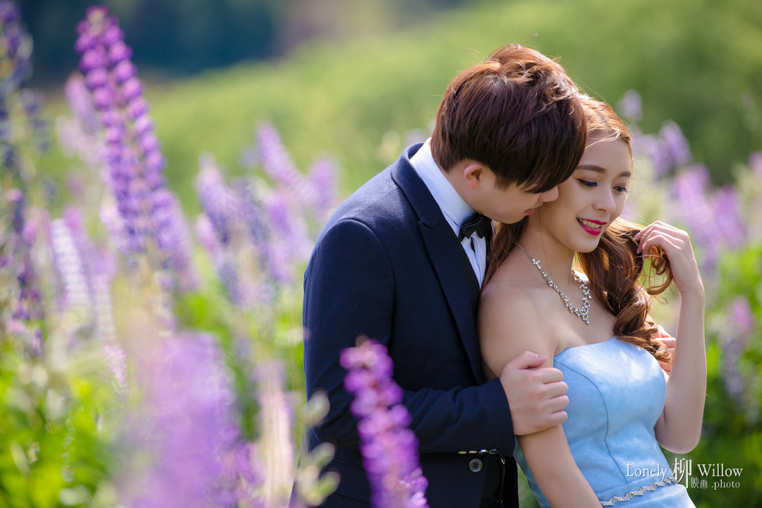 20171204jm_lupins0144