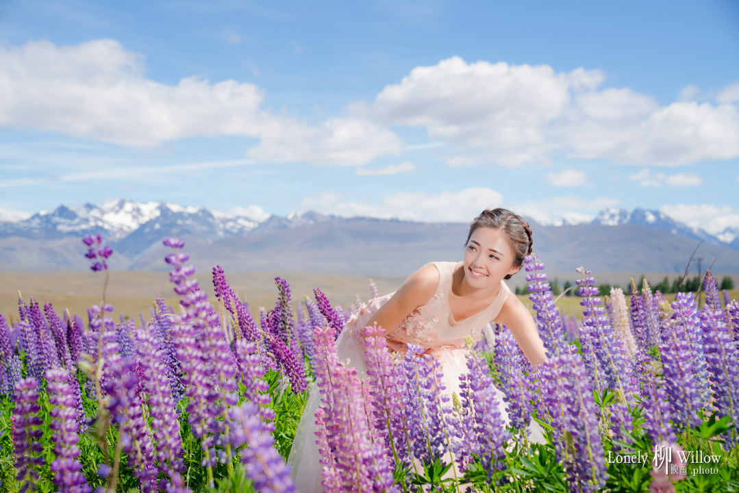 20171208lzlt_lupins0006