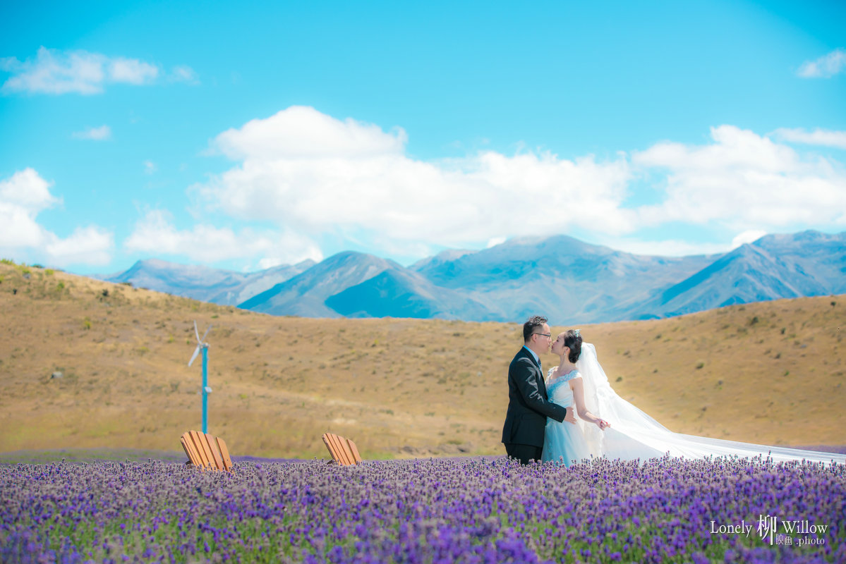 20180125tangtuanzai_lavender0071