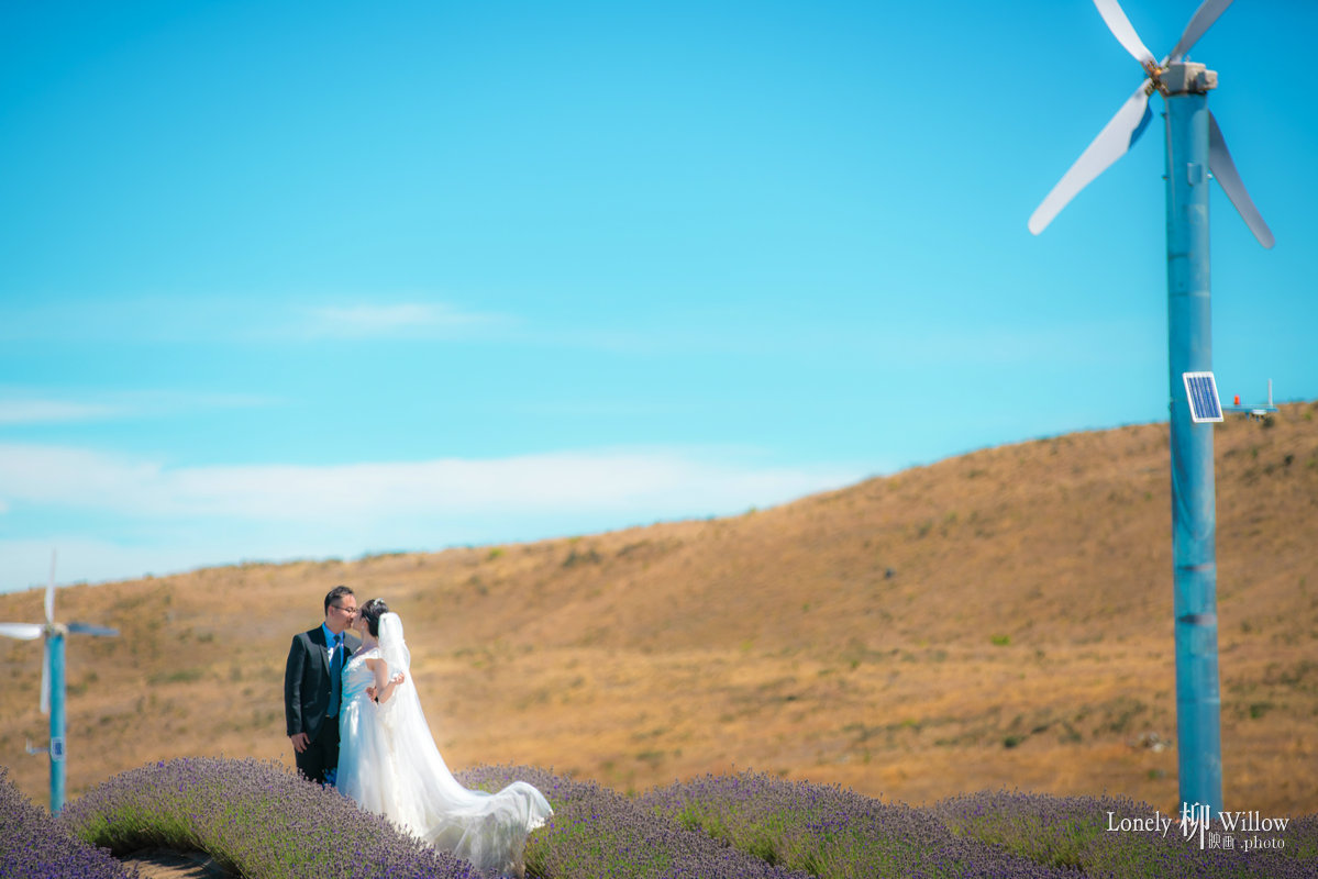 20180125tangtuanzai_lavender0133