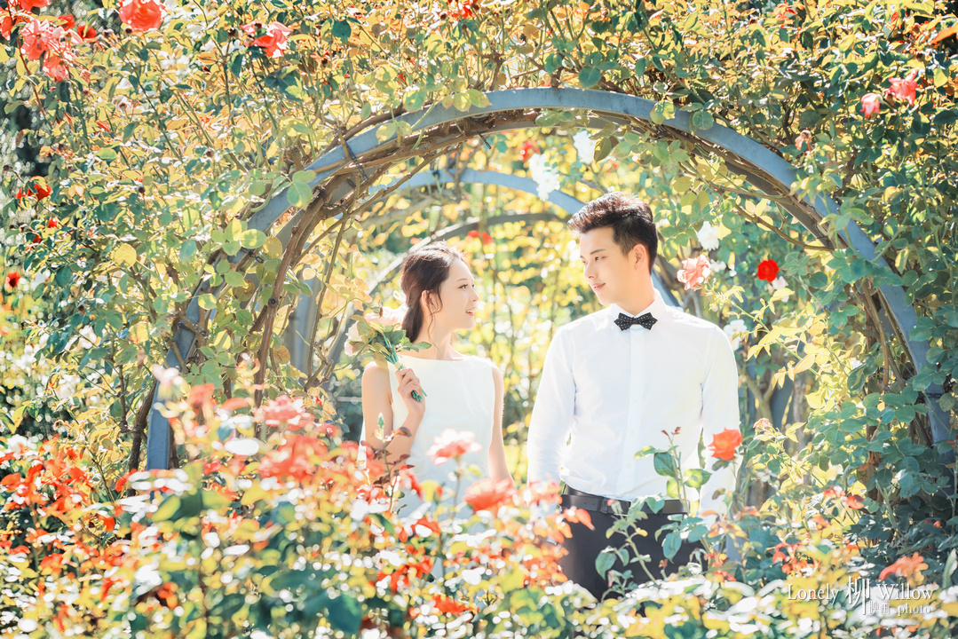 20180216zimujin_roses0004