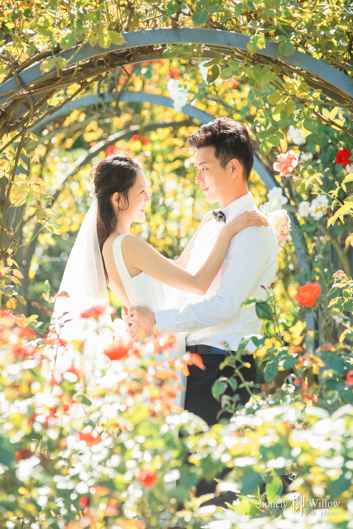 20180216zimujin_roses0014